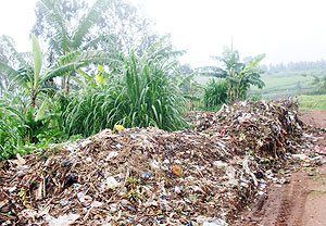 The harzadous dumping site in a residential area. (Photo: S. Rwembeho)