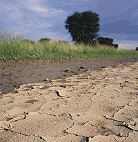 Drought. Rain will become more erratic, and scarse, as weather patterns change.