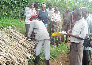 Residents of Remera recieving Cassava cuttings. (Photo: D. Ngabonziza)
