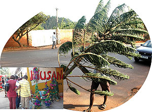 Shoppers admired plastic christmas trees while another carries a natural one