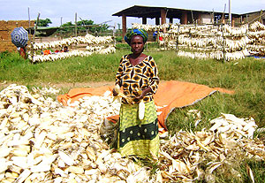 Zahabu Nikuze  driying her maize