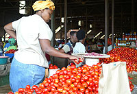 Traders in vulnerable states are likely to be hit hard by effects of climate change. (File Photo)