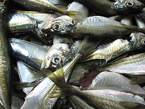Fish business is a major income earner for many Kirehe residents. (File photo)