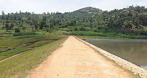 Nyarubogo Irrigation Project in Nyanza visited by President Kagame - the dam, canals and drainage system irrigate 220 hectares of rice fields with potential yield of 1,540 tonnes per year