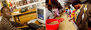 L-R : Rwandans busy sorting coffee ;The current Rwandan is more interested in what you have to offer