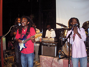 Holy Jah Doves in action.