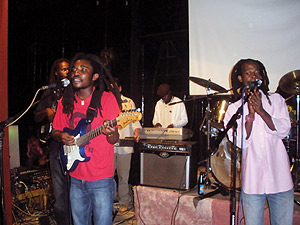 Holy Jah Doves in action.
