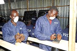 Iwawa trainees in a wood workshop. 