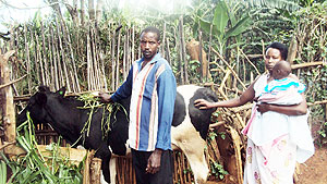 The couple admiring the cow. (Photo: S. Rwembeho)