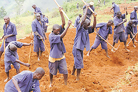 Convicts under TIG programme doing community activities. Districts have called for more funding of TIG Secerariat (File Photo)