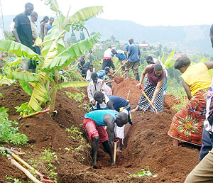 Some of the youth taking part in the communal work (Photo; D. Sabiiti)