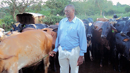 Alfred Nkubiri is a successful farmer in Kirehe district with over 500 exotic cows.