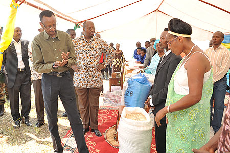 Rice farmers in Bugarama, Rusizi District show President Kagame their produce