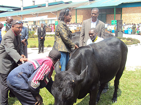 Minister Karibata during the cow donating excercise (Photo R.Mugabe)