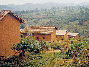 The typical tiled roof houses commonly found in rural Rwanda.