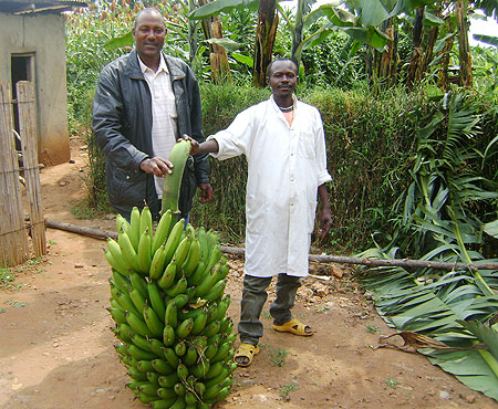 A farmer displaying his banana harvest (File Photo)