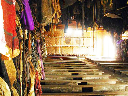 The evidence is loud and clear. The 1994 Genocide against the Tutsi has affected Rwandau2019s people to an unimaginable degree.