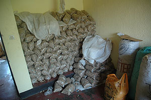 A Pile of drugs seized by National Police. The force has released a new report on drug trafficking and consumption (File Photo)