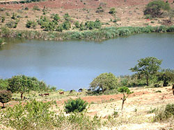 Muhazi, one of the lakes targeted for Tilapia farming. (Photo / S. Rwembeho)
