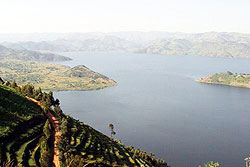 Lake Kivu might have deposits of petroleum.