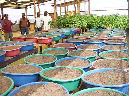 Caritas Agriculture coordinator Ntaganira (left) explains advantages of the Greenhouse to officials on Sunday (Photo; A.Gahene)