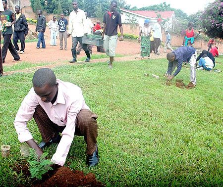 Residents in a tree-planting exersice. Government plans to plant over 44 million trees (File Photo)
