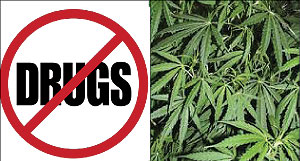 L-R : Say no to drug abuse ; Marijuana leaves