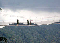 The newly launched canopy walk in Nyungwe (File Photo)