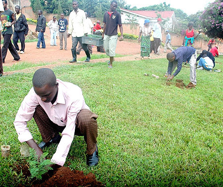 Tree planting is one way in which Rwandans are involved in environmental conservation. (File Photo)
