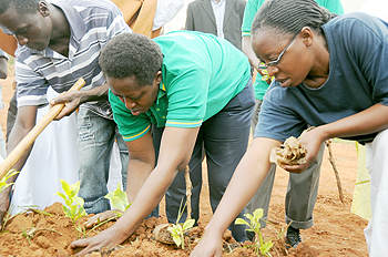 The mayor of Kigali City, Aisah Kirabo planted trees in Nyamirambo.