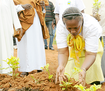 Jean du2019Arc Gakuba, Kigali City Vice Mayor, planting a tree.