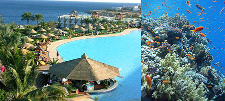 L-R : A resort in Sharm-El-Sheikh ; A Coral Reef in Sharm El Sheikh