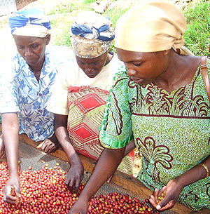 Coffee farmers in Rwanda (File photo)