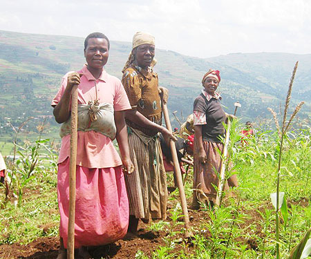 The financial and food crises have slowed down progress towards greater gender equity and decent work for women in agricultural and rural areas.