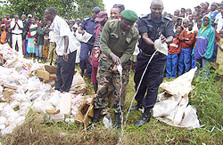 Supt. Rutsindura (R), RDF and residents pour illicit alcoholic drinks in a pit on Saturday (Photo: A. Gahene)