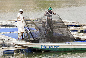 Senegalese Catch Fish: Fisherman in the Darou Khoudoss village of Senegal. (UN Photo/Evan Schneider)