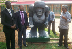 200 kilogram model Gorilla 'Digit' was donated to the museum (Courtesy photo)