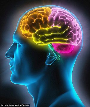  Time to declutter- Scientists say if youu2019re struggling with memory function it might be because you know too much