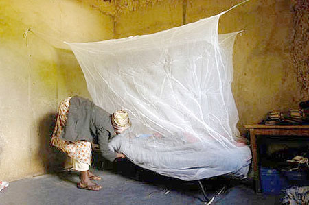 A Woman in Rwanda installs moquito netting over her sonu2019s bed in an effort to prevent the spread of malaria.