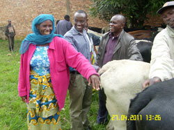One of the beneficiaries receives her cow from local leaders. (Courtesy photo)