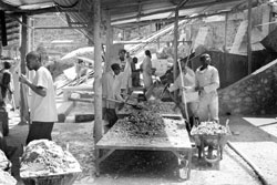 With a new law on mining in place, mining companies are reaping (File photo)