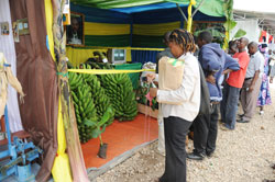 The ongoing agricultural expo in Mulundi, Gasabo District  has showcased the country's growing agricultural sector (File Photo)