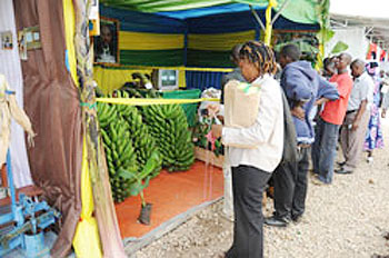 Mechanisation is vital to improving agriculture (File Photo)