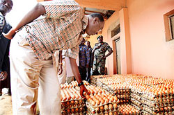 Prime Minister Makuza examines trays of eggs at Theophile Mushimimana's Poultry farm in Rulindo. (Photo T.kisambira)