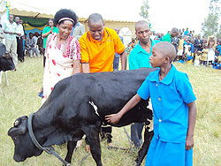 Kamonyi District Mayor Jacques Rutsinga,(C) hands over a heifer to a pupil at Kiboga Primary School. (Photo D Sabiiti)