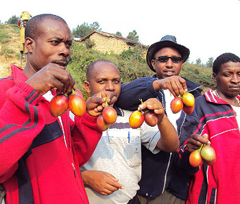 Some of the Ngororero fruit farmers display their produce. (Photo D.Sabiiti)