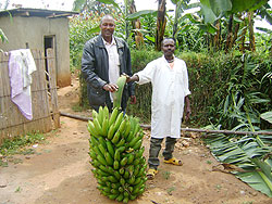 Farmers hold a giant bunch of bananas; The recent transport hike has affected food prices.