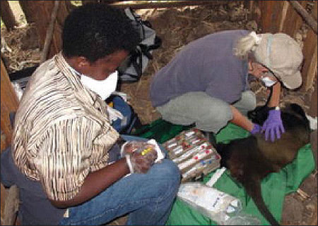 Elizabeth and Dr. Jan collecting samples.