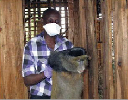 Dr. Jean-Felix carries the monkey to the dog crate.