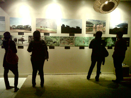 Photo enthusiasts observe Gael Vande Wegheu2019s proffesional work displayed at the u2018Nature Illuminatedu2019 Photo exhibition at Shokola Lite, Kacyiru.